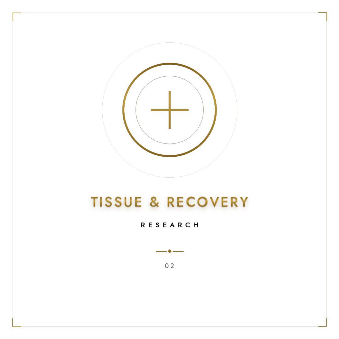 02_category_tile_02_tissue_1080x1080