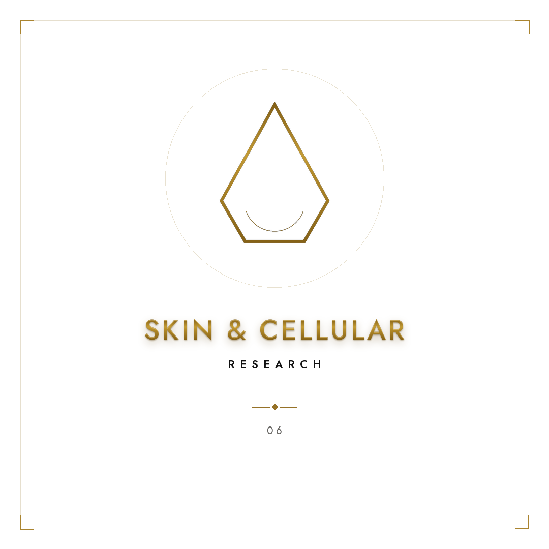 02_category_tile_06_skin_1080x1080